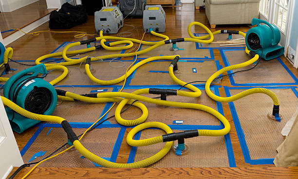 Professional Water Extraction technician working in Houghton Lake, MI